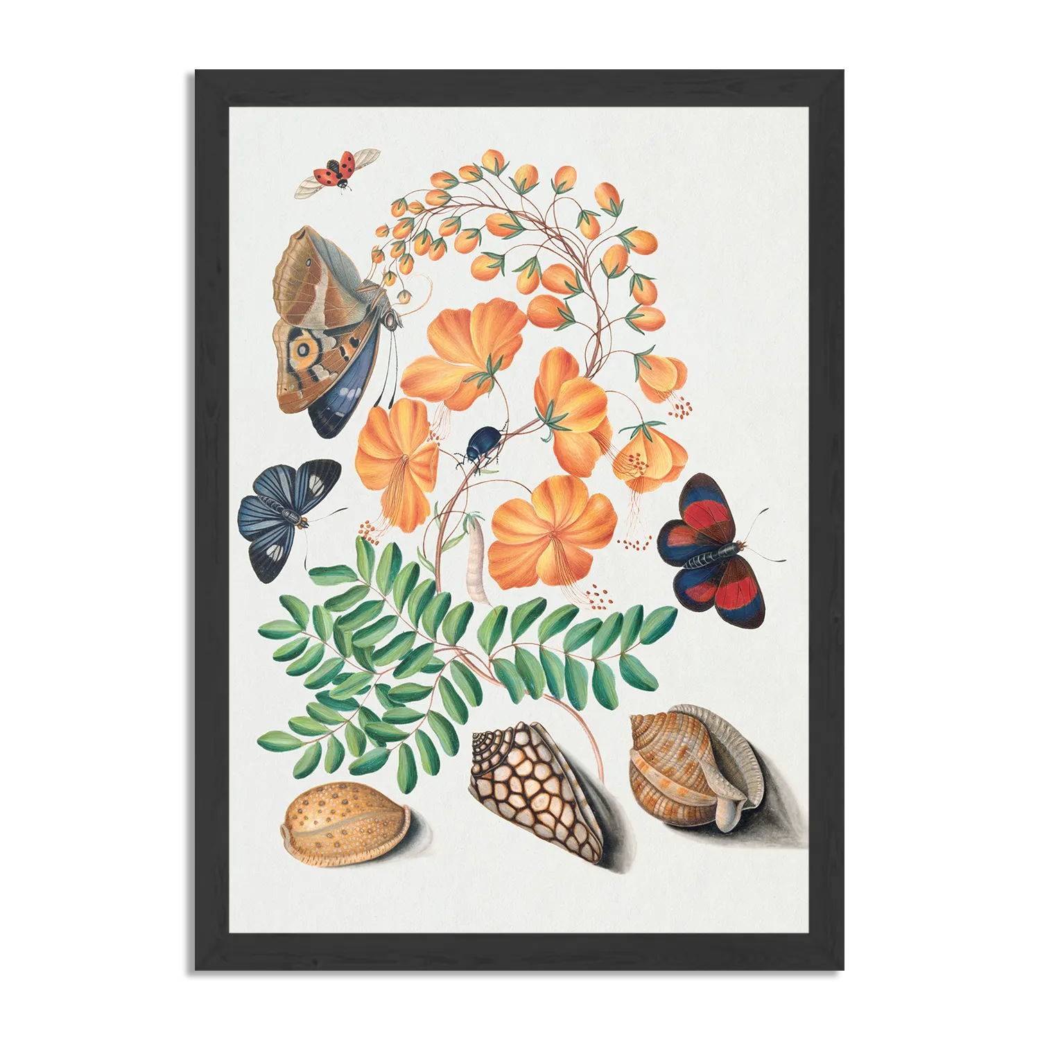 Poster Prent Natuur Vogel en Bloemen 13 Rechthoek Verticaal Met Lijst Template PBL 50 70 Verticaal Vintage 13 1
