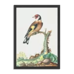 Poster Prent Natuur Vogel en Bloemen 15 Rechthoek Verticaal Met Lijst Template PBL 50 70 Verticaal Vintage 15 1
