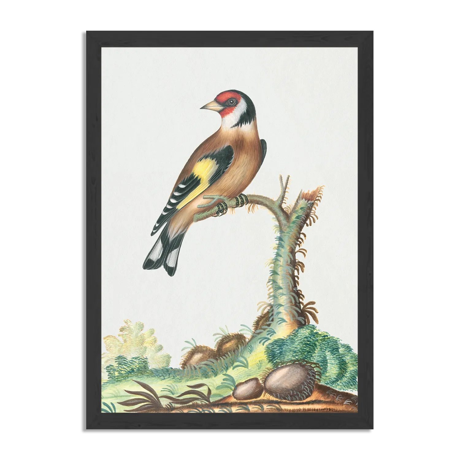 Poster Prent Natuur Vogel en Bloemen 15 Rechthoek Verticaal Met Lijst Template PBL 50 70 Verticaal Vintage 15 1
