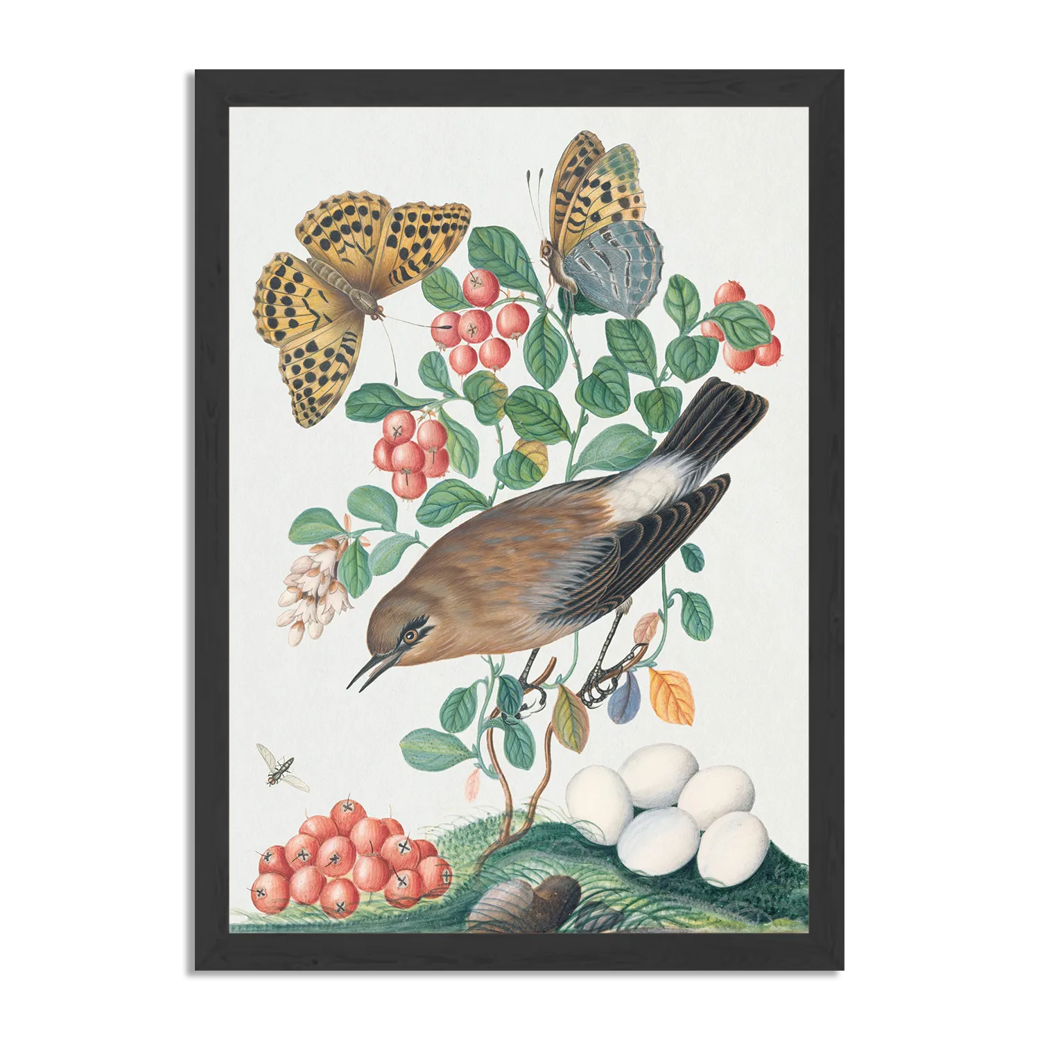 Poster Prent Natuur Vogel en Bloemen 05 Rechthoek Verticaal Met Lijst Template PBL 50 70 Verticaal Vintage 5 1