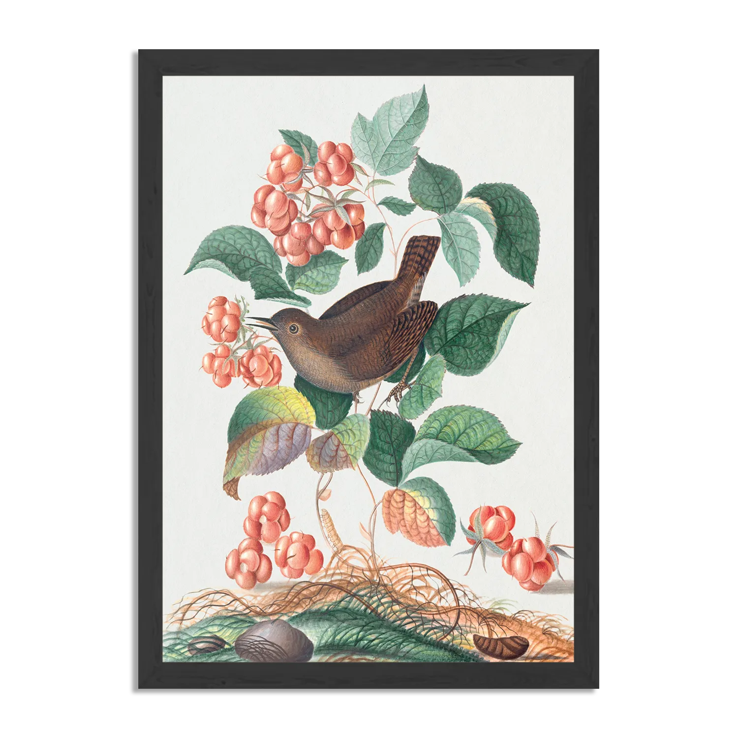 Poster Prent Natuur Vogel en Bloemen 08 Rechthoek Verticaal Met Lijst Template PBL 50 70 Verticaal Vintage 8 1