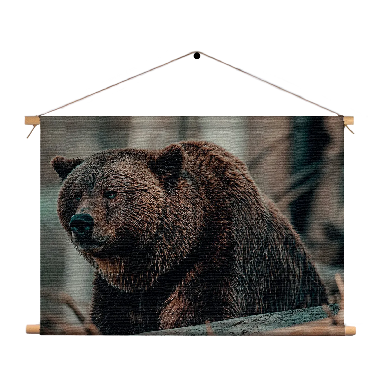 Textielposter Beer In Het Bos Rechthoek Horizontaal Template TP 50 70 Horizontaal Dieren 11 1