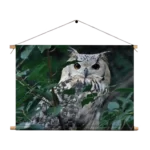 Textielposter Uil Op Tak Rechthoek Horizontaal Template TP 50 70 Horizontaal Dieren 12 1