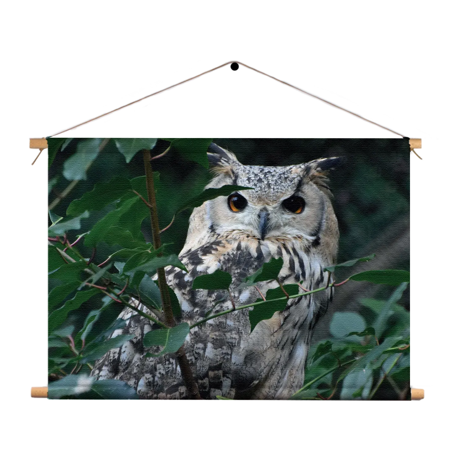 Textielposter Uil Op Tak Rechthoek Horizontaal Template TP 50 70 Horizontaal Dieren 12 1