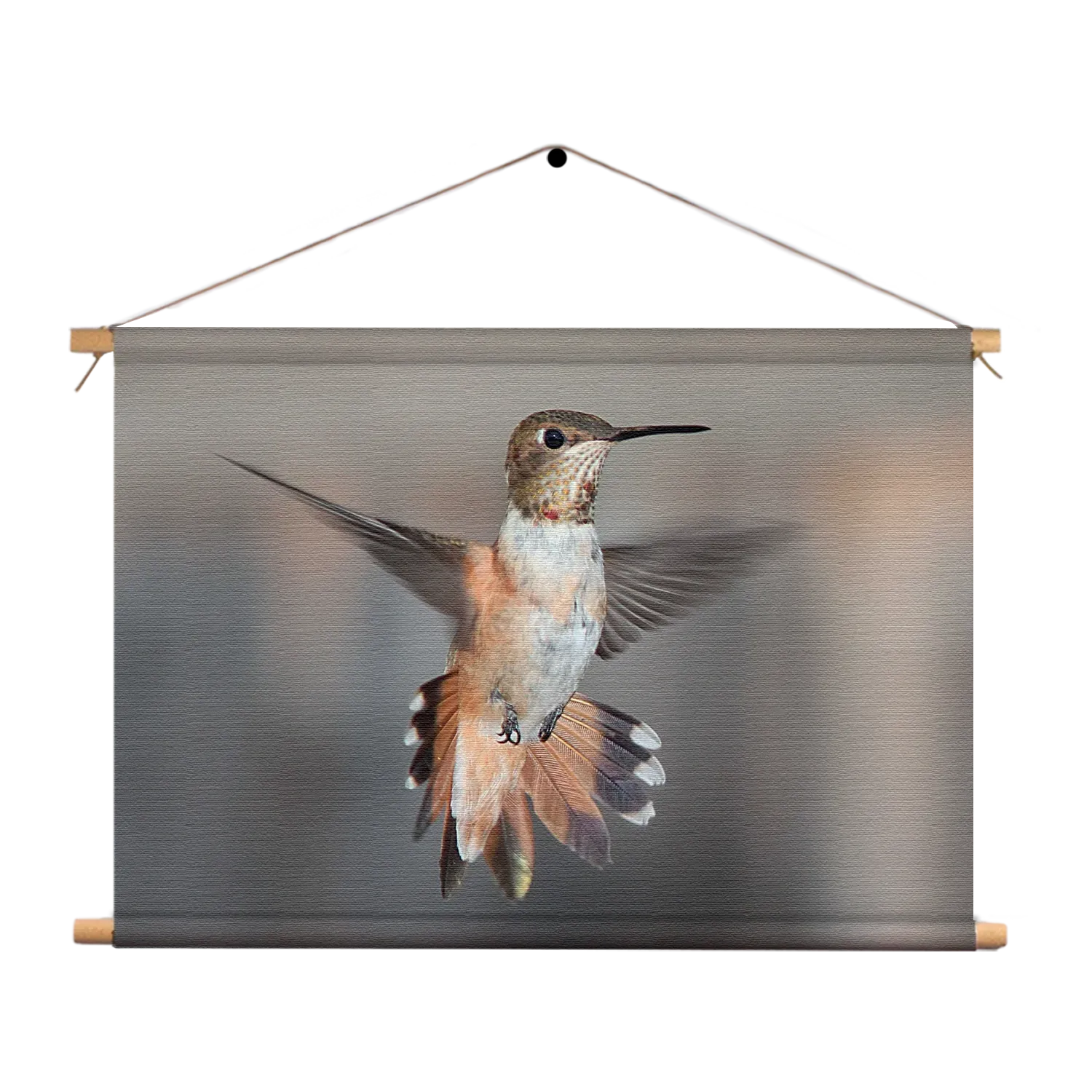 Textielposter De Vliegende Kolibrie Vogel Rechthoek Horizontaal Template TP 50 70 Horizontaal Dieren 19 1