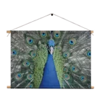 Textielposter Blauwe Pauw Met Groene Verem Rechthoek Horizontaal Template TP 50 70 Horizontaal Dieren 20 1