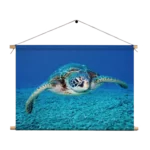 Textielposter Zeeschildpad In Helderblauw Water 01 Rechthoek Horizontaal Template TP 50 70 Horizontaal Dieren 21 1