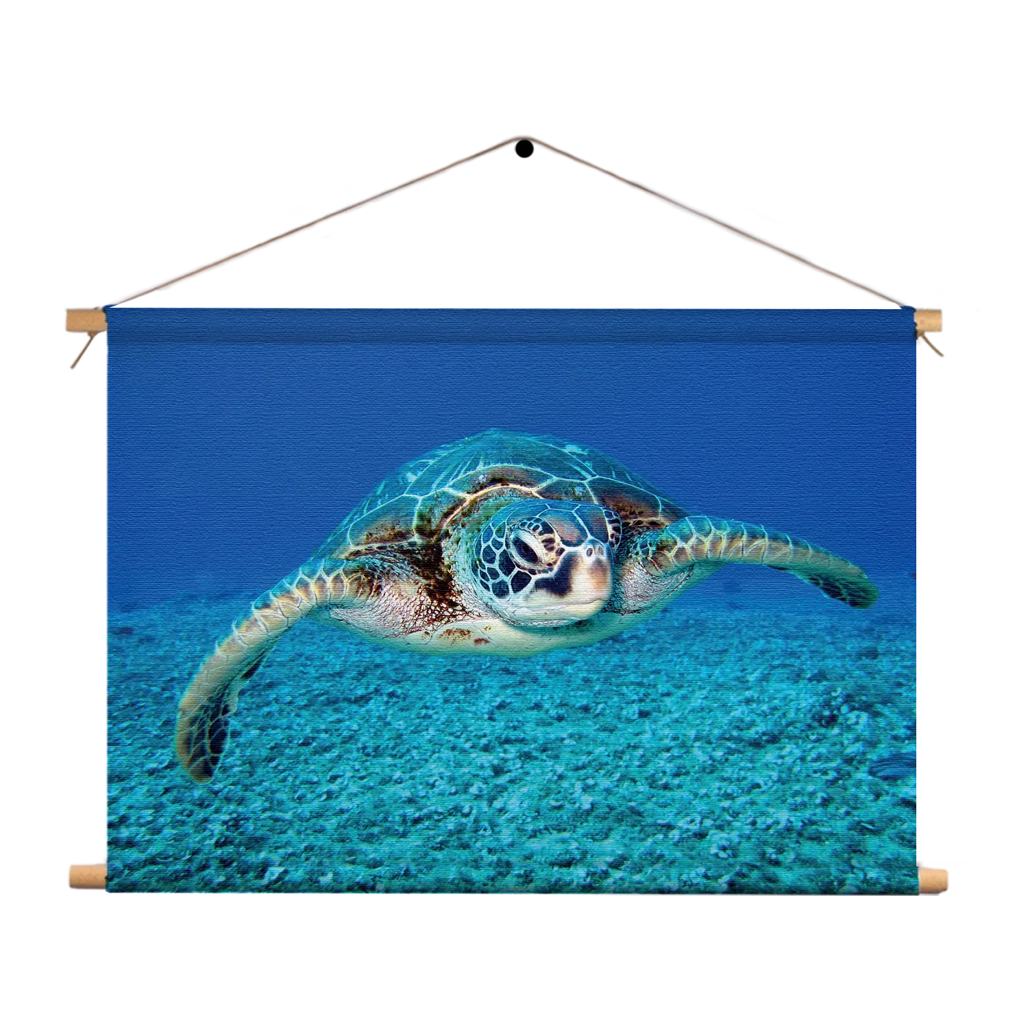Textielposter Zeeschildpad In Helderblauw Water 01 Rechthoek Horizontaal Template TP 50 70 Horizontaal Dieren 21 1