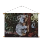 Textielposter De Vastgelamde Koala Rechthoek Horizontaal Template TP 50 70 Horizontaal Dieren 23 1