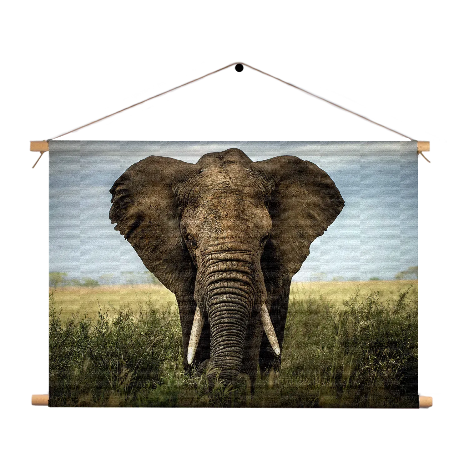 Textielposter Olifant Rechthoek Horizontaal Template TP 50 70 Horizontaal Dieren 25 1