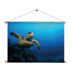 Textielposter Zeeschildpad In Helderblauw Water 02 Rechthoek Horizontaal Template TP 50 70 Horizontaal Dieren 26 1