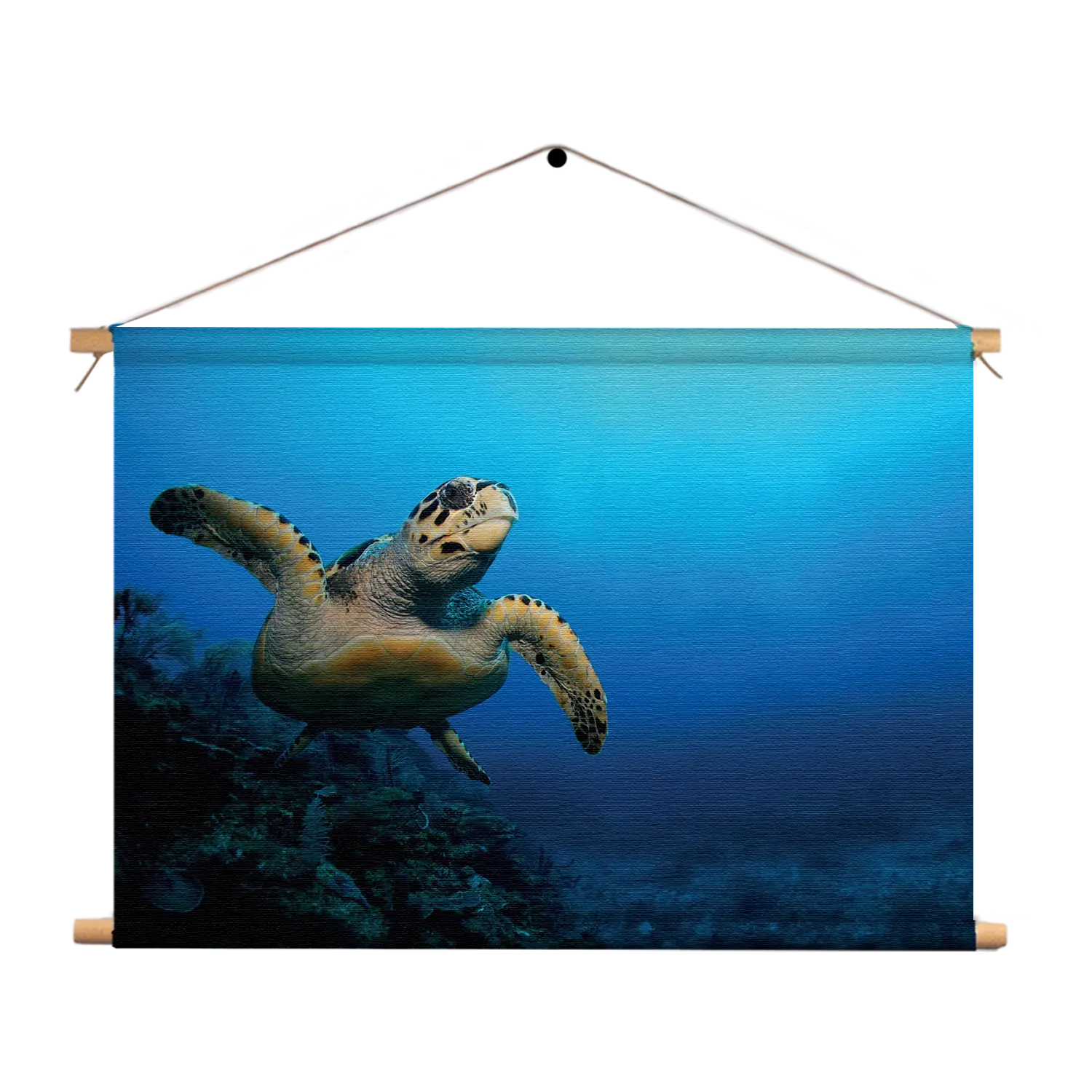 Textielposter Zeeschildpad In Helderblauw Water 02 Rechthoek Horizontaal Template TP 50 70 Horizontaal Dieren 26 1