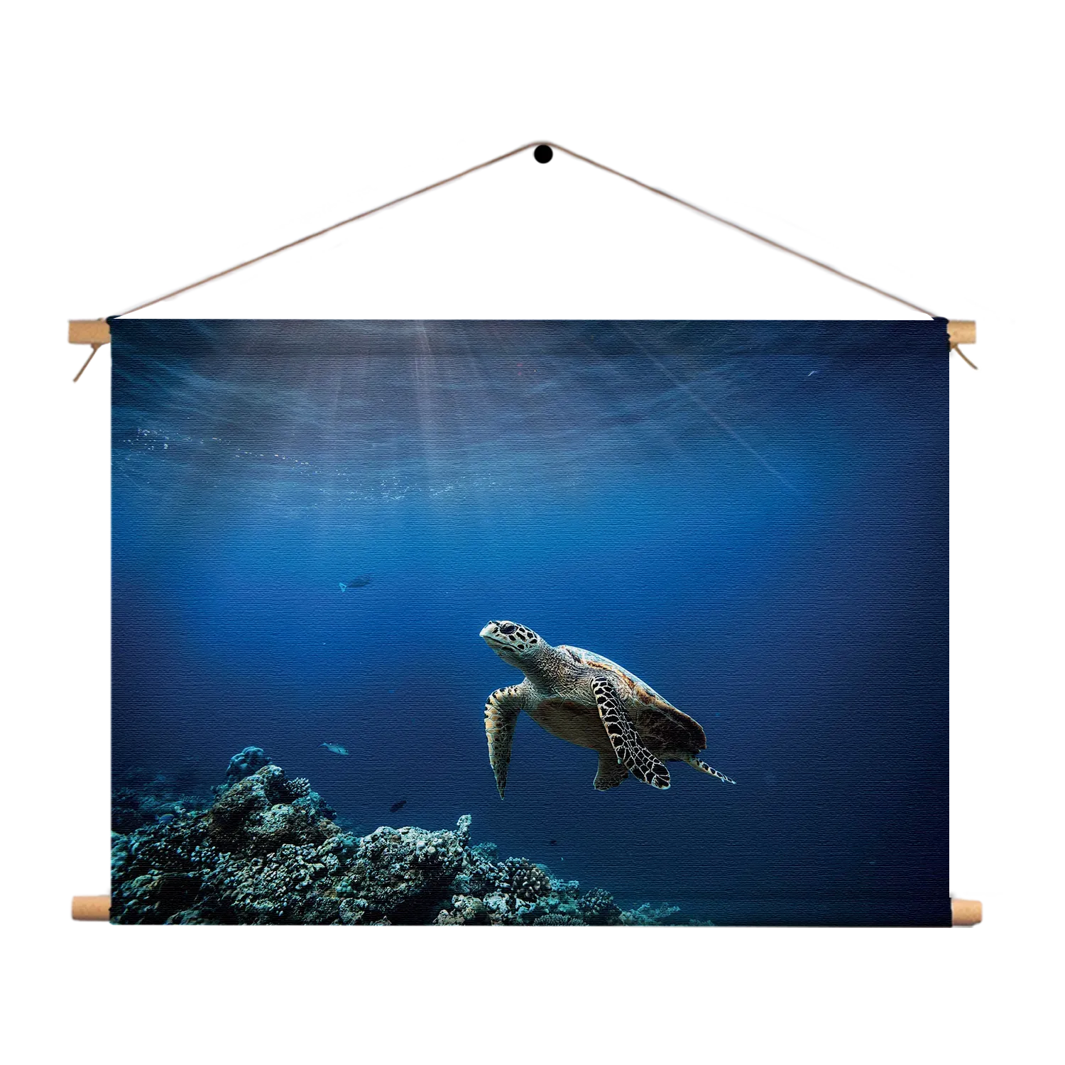 Textielposter Zeeschildpad In Helderblauw Water 03 Rechthoek Horizontaal Template TP 50 70 Horizontaal Dieren 30 1