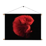 Template_TP_50-70_Horizontaal_Dieren_32-1 Textielposter Red Dragon Siamese Fighting Fish Rechthoek Horizontaal Template TP 50 70 Horizontaal Dieren 32 1