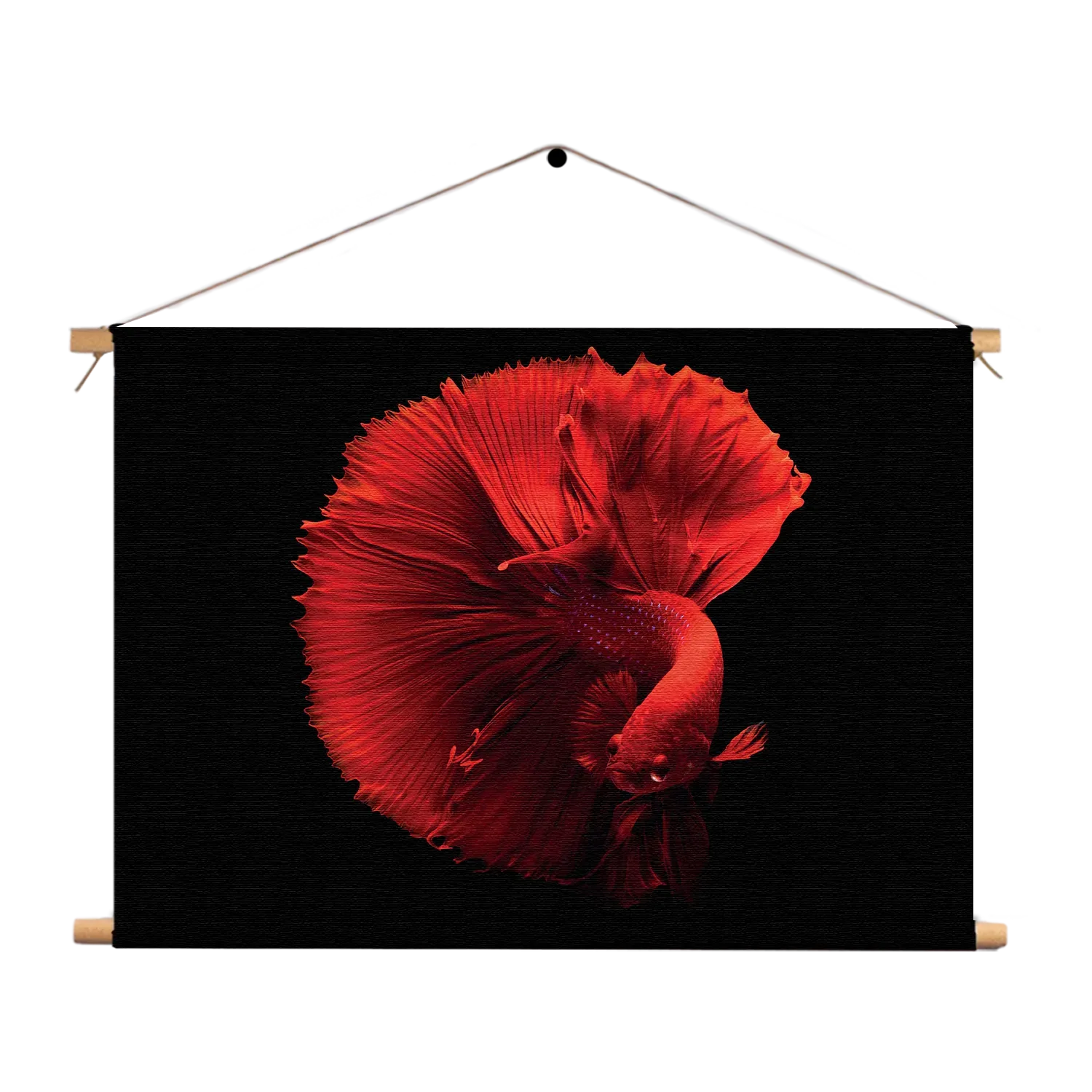 Template_TP_50-70_Horizontaal_Dieren_32-1 Textielposter Red Dragon Siamese Fighting Fish Rechthoek Horizontaal Template TP 50 70 Horizontaal Dieren 32 1