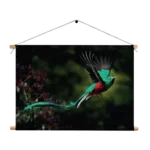 Textielposter Schitterende Vliegende Quetzal Vogel Rechthoek Horizontaal Template TP 50 70 Horizontaal Dieren 34 1