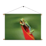 Textielposter Roodoog Boomkikker Rechthoek Horizontaal Template TP 50 70 Horizontaal Dieren 35 1