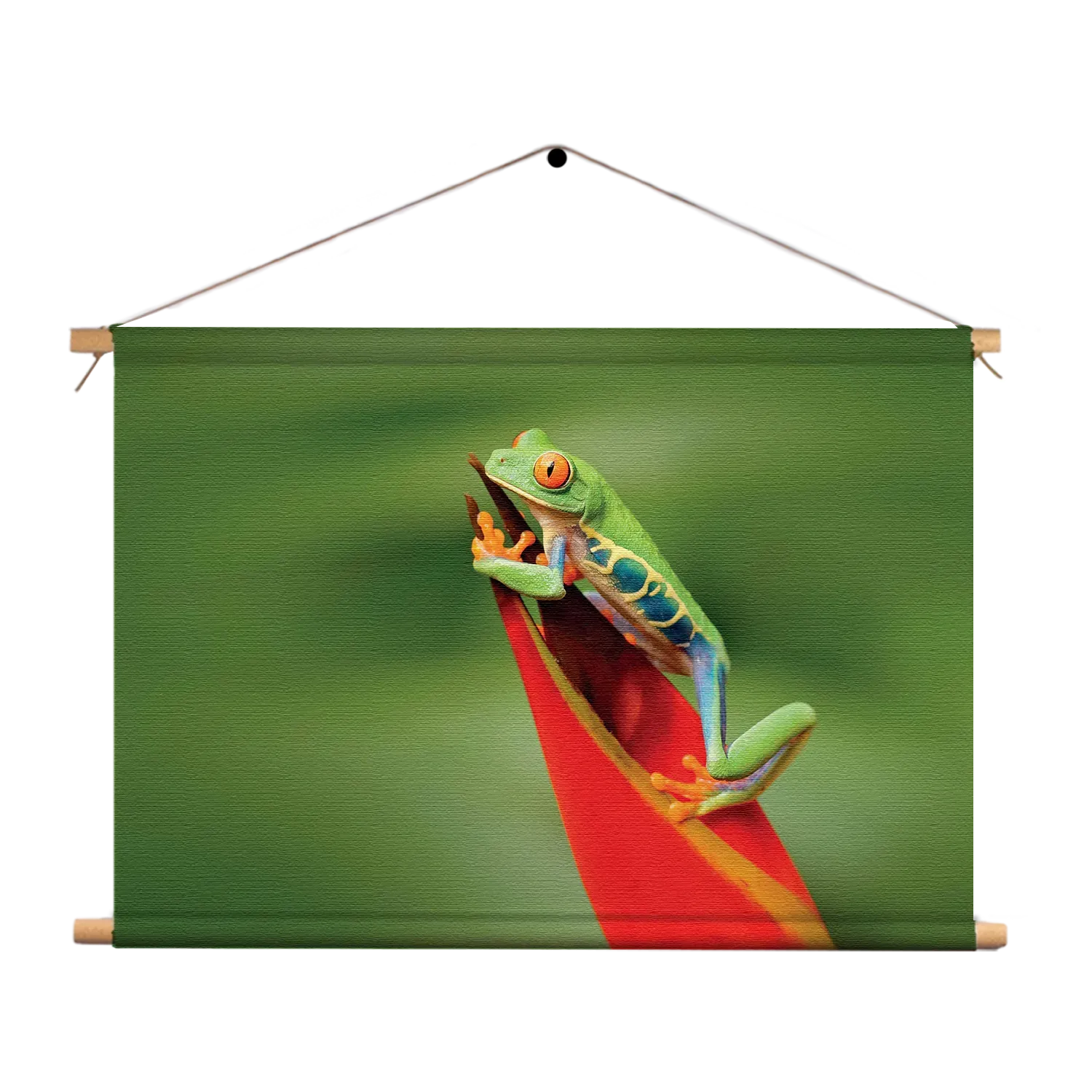 Textielposter Roodoog Boomkikker Rechthoek Horizontaal Template TP 50 70 Horizontaal Dieren 35 1
