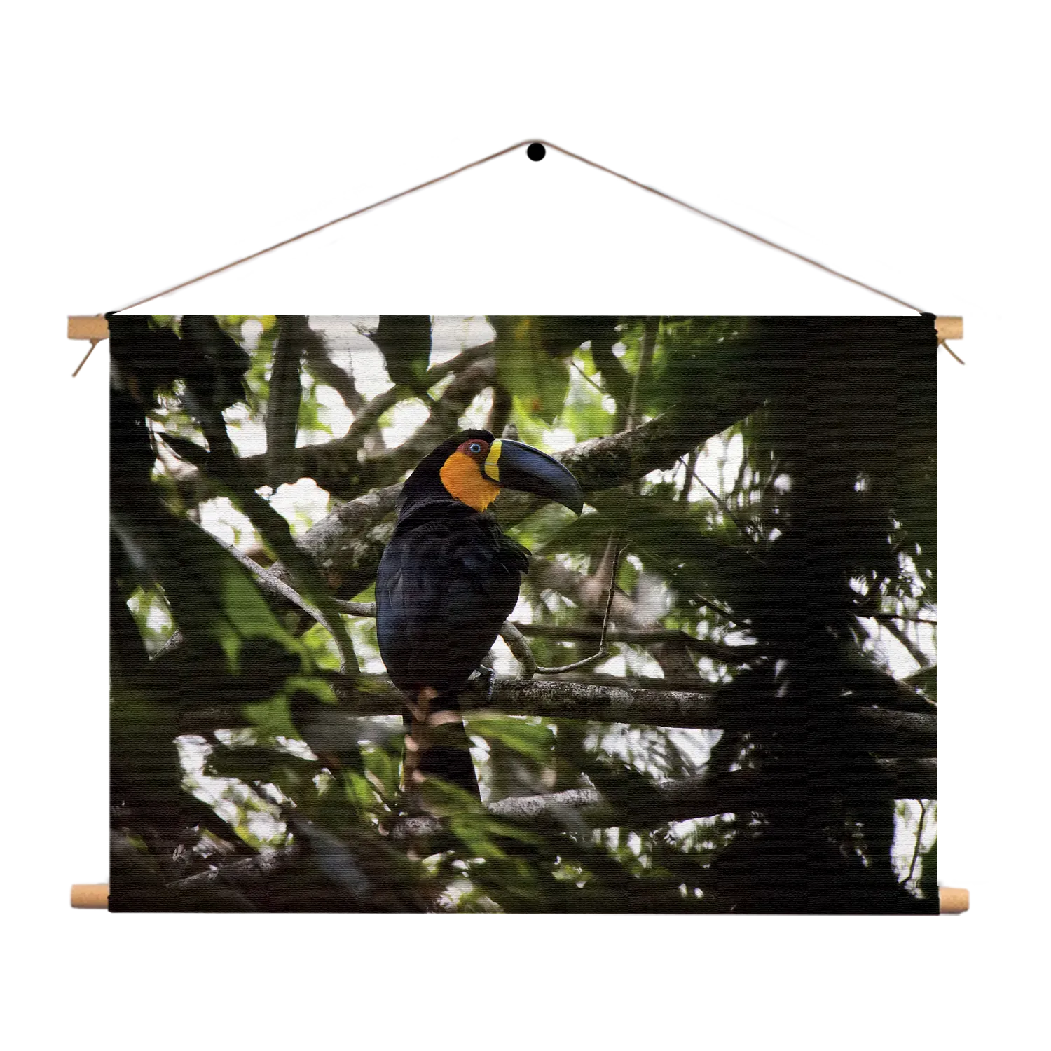 Template_TP_50-70_Horizontaal_Dieren_37-1 Textielposter De Toekan Rechthoek Horizontaal Template TP 50 70 Horizontaal Dieren 37 1