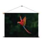 Textielposter Vliegende Ara Vogel Rechthoek Horizontaal Template TP 50 70 Horizontaal Dieren 40 1