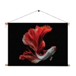 Textielposter The Betta Fish Rechthoek Horizontaal Template TP 50 70 Horizontaal Dieren 43 1