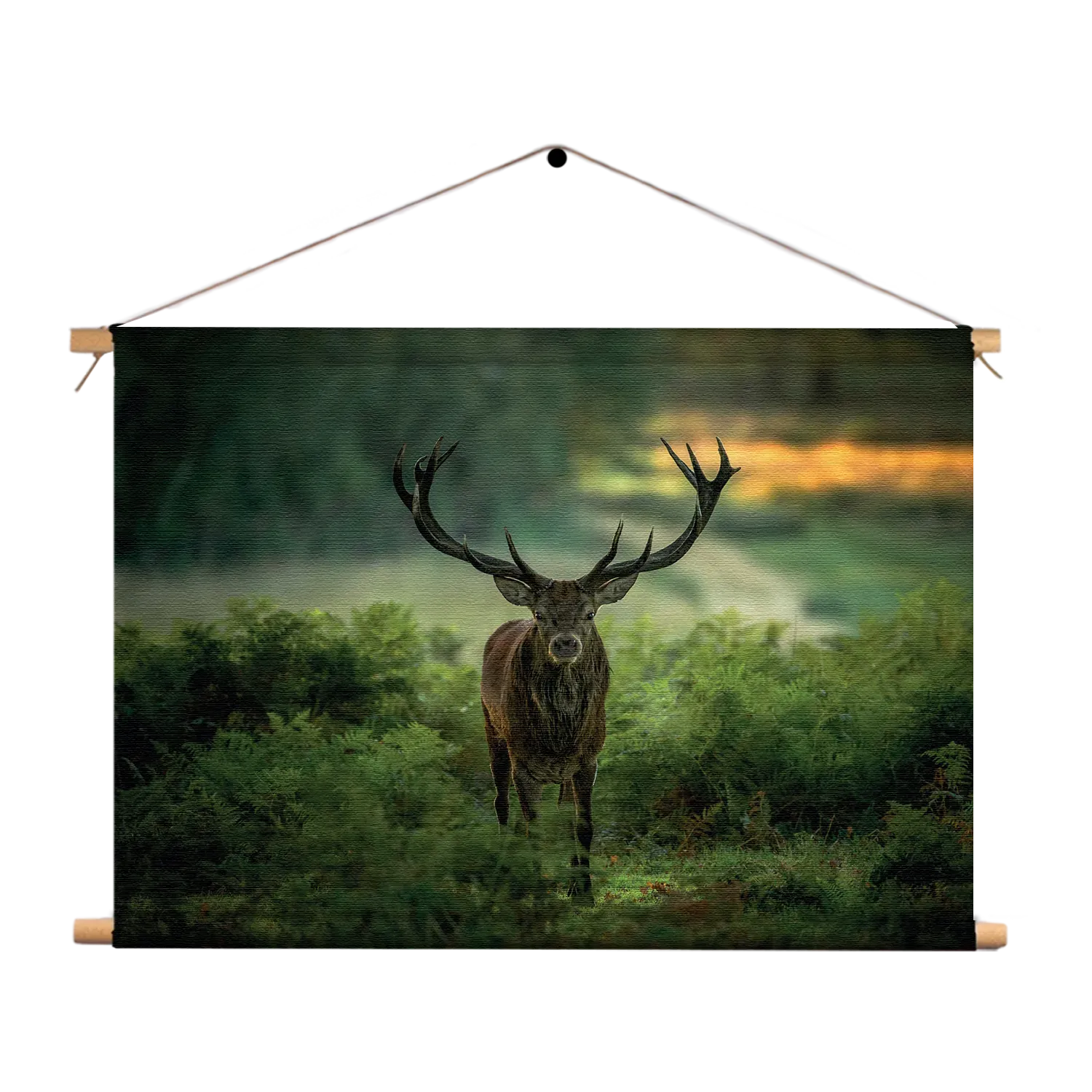 Textielposter Edelhert In Het Bos Rechthoek Horizontaal Template TP 50 70 Horizontaal Dieren 45 1