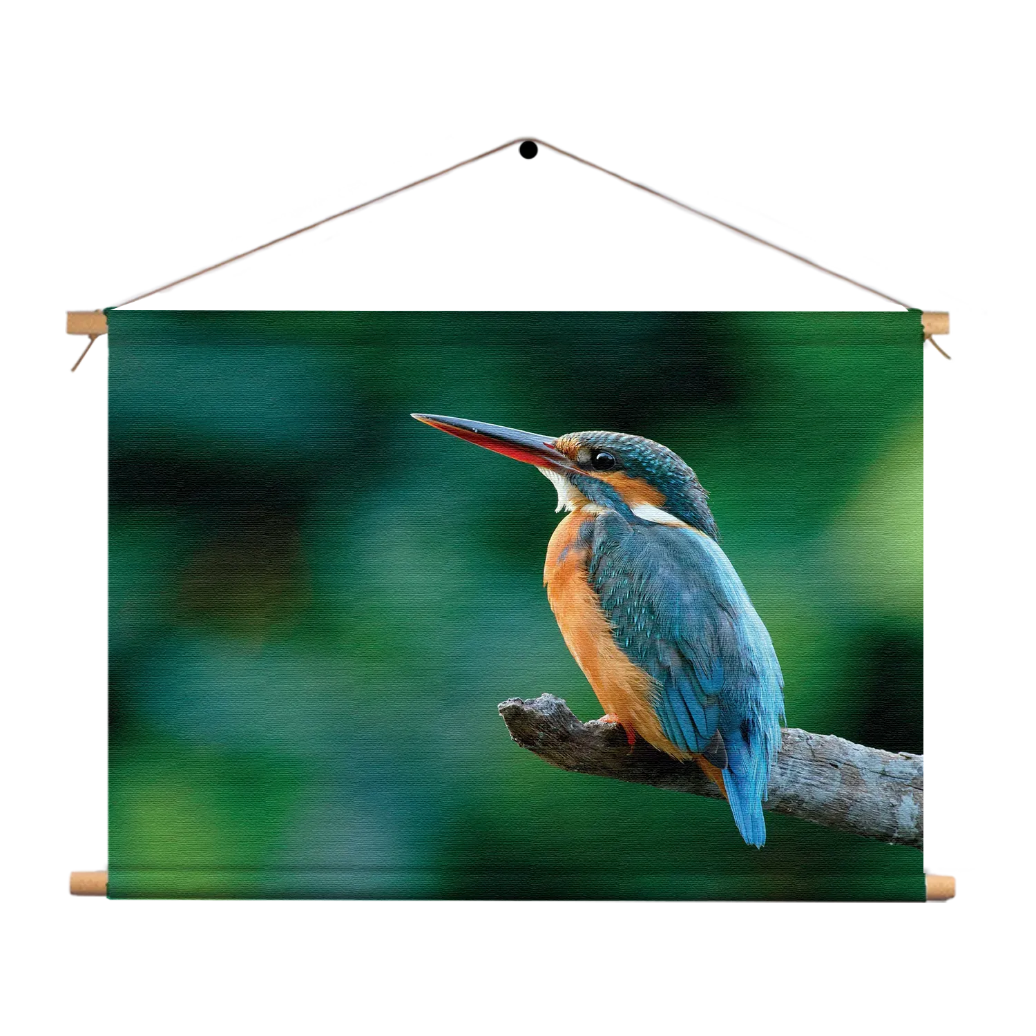 Textielposter De Ijsvogel Rechthoek Horizontaal Template TP 50 70 Horizontaal Dieren 51 1