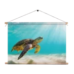 Textielposter Zeeschildpad In Helderblauw Water 04 Rechthoek Horizontaal Template TP 50 70 Horizontaal Dieren 58 1