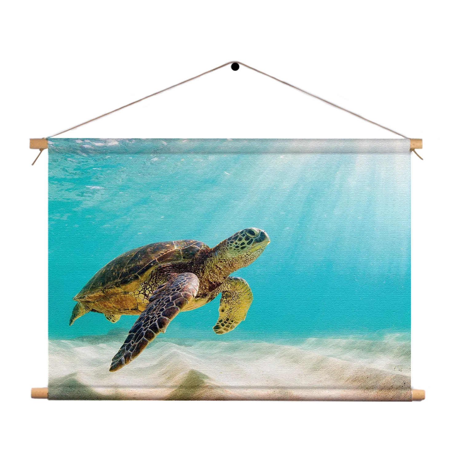 Textielposter Zeeschildpad In Helderblauw Water 04 Rechthoek Horizontaal Template TP 50 70 Horizontaal Dieren 58 1