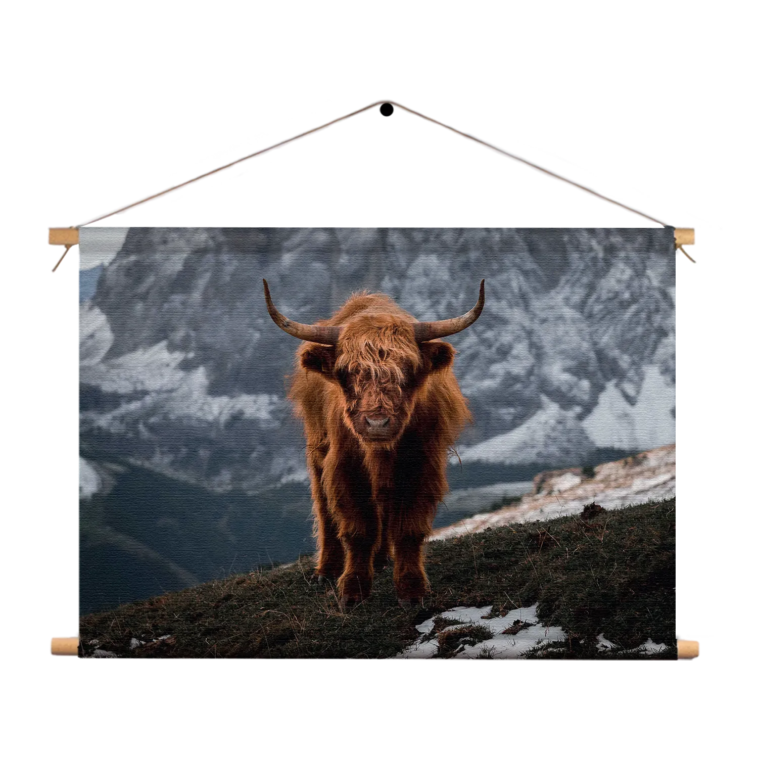 Textielposter Bizon Van Het Gebergten Rechthoek Horizontaal Template TP 50 70 Horizontaal Dieren 71 1