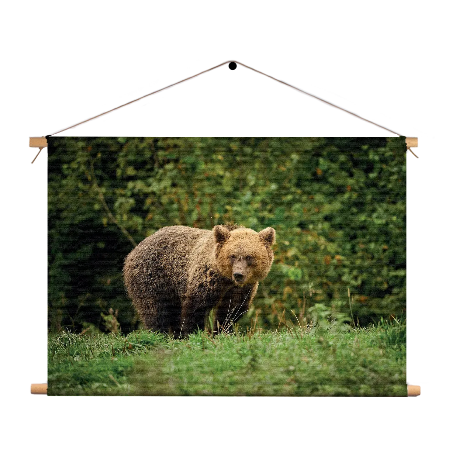 Textielposter De Beer Tussen Het Groen Rechthoek Horizontaal Template TP 50 70 Horizontaal Dieren 78 1