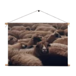 Textielposter Kudde Schapen Rechthoek Horizontaal Template TP 50 70 Horizontaal Dieren 8 1