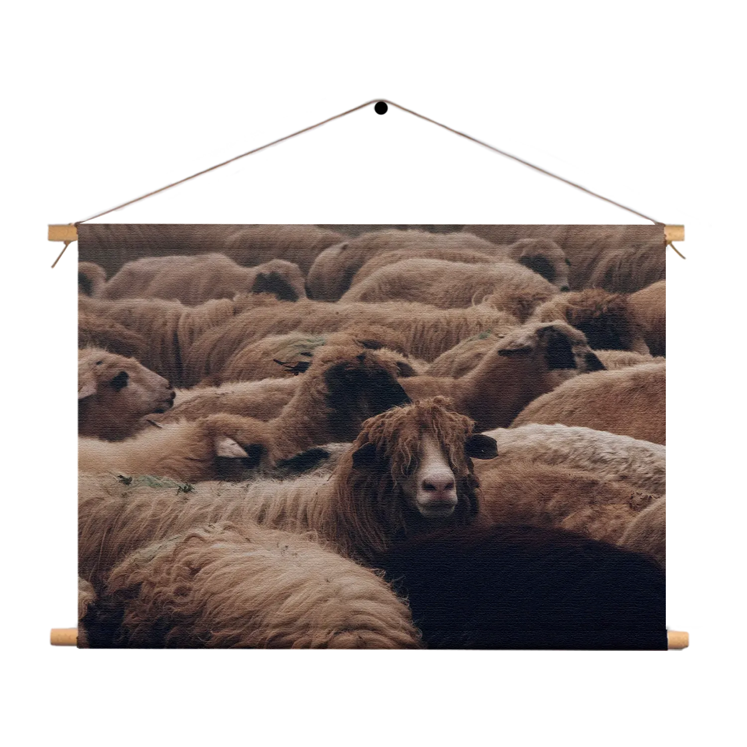 Textielposter Kudde Schapen Rechthoek Horizontaal Template TP 50 70 Horizontaal Dieren 8 1