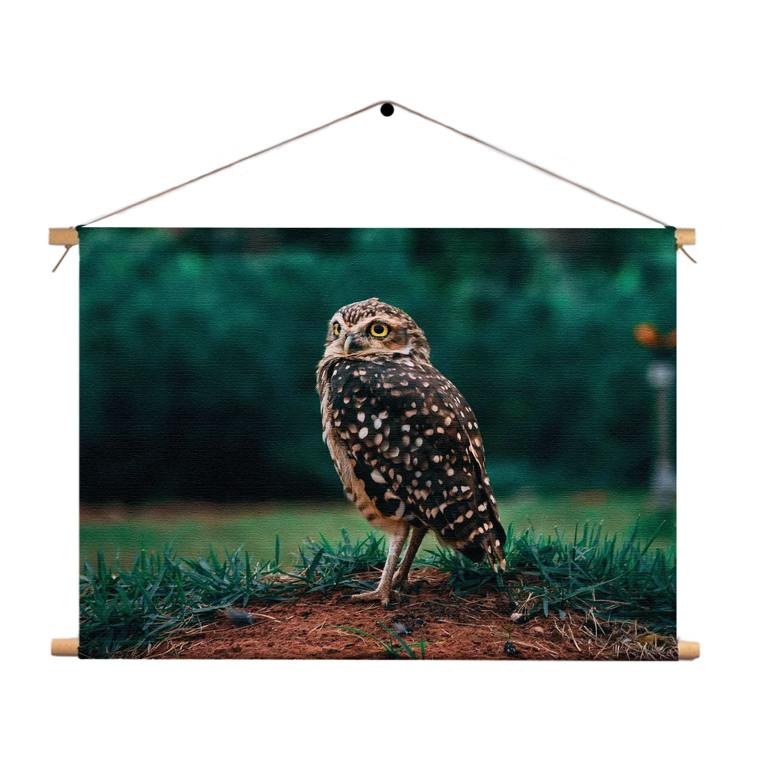 Textielposter Uil In De Natuur Rechthoek Horizontaal Template TP 50 70 Horizontaal Dieren 9 1