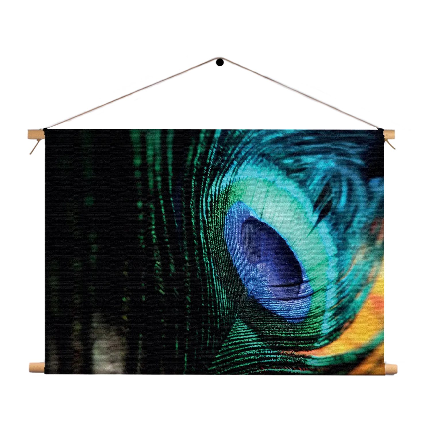 Textielposter Een veer van de Pauw Rechthoek Horizontaal Template TP 50 70 Horizontaal Natuur 11 1