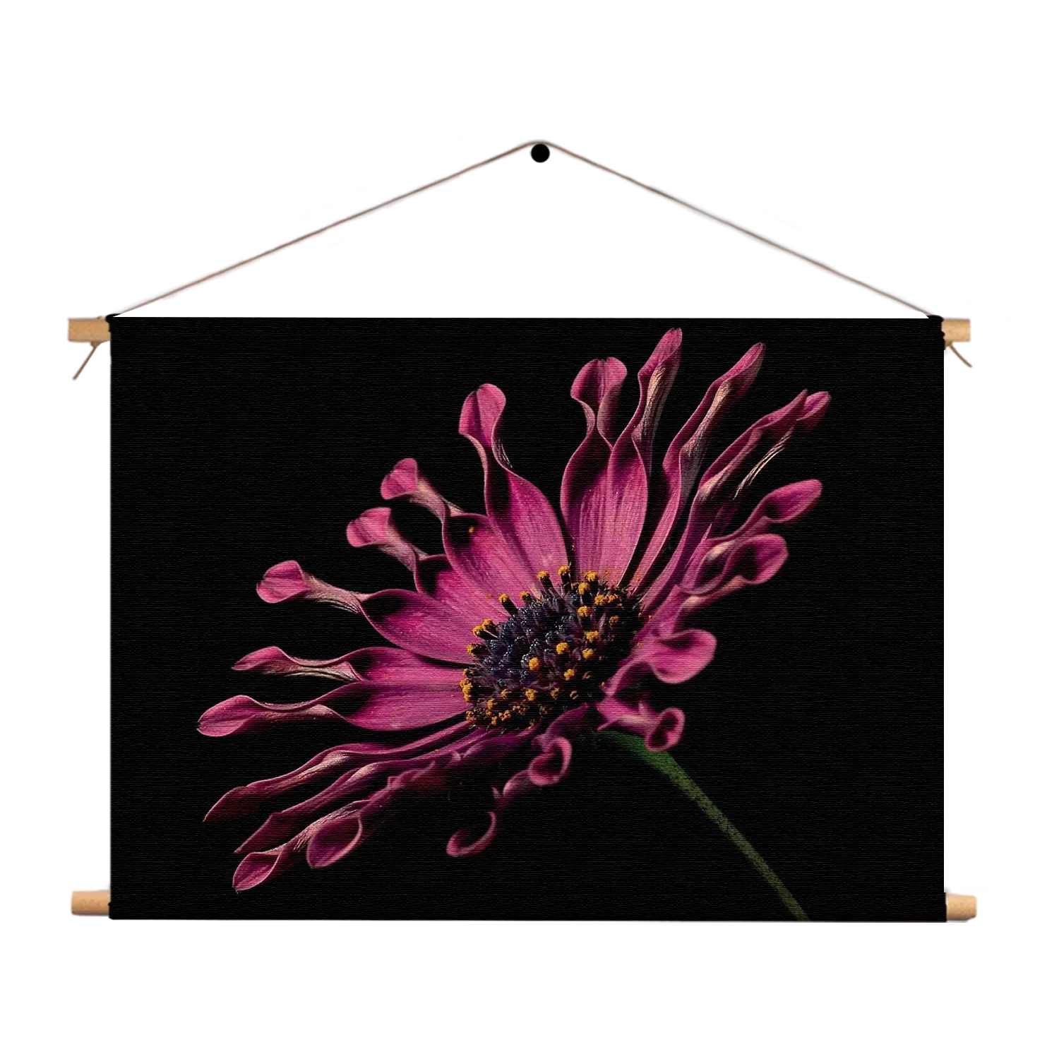 Textielposter Aster Bloem Rechthoek Horizontaal Template TP 50 70 Horizontaal Natuur 22 1