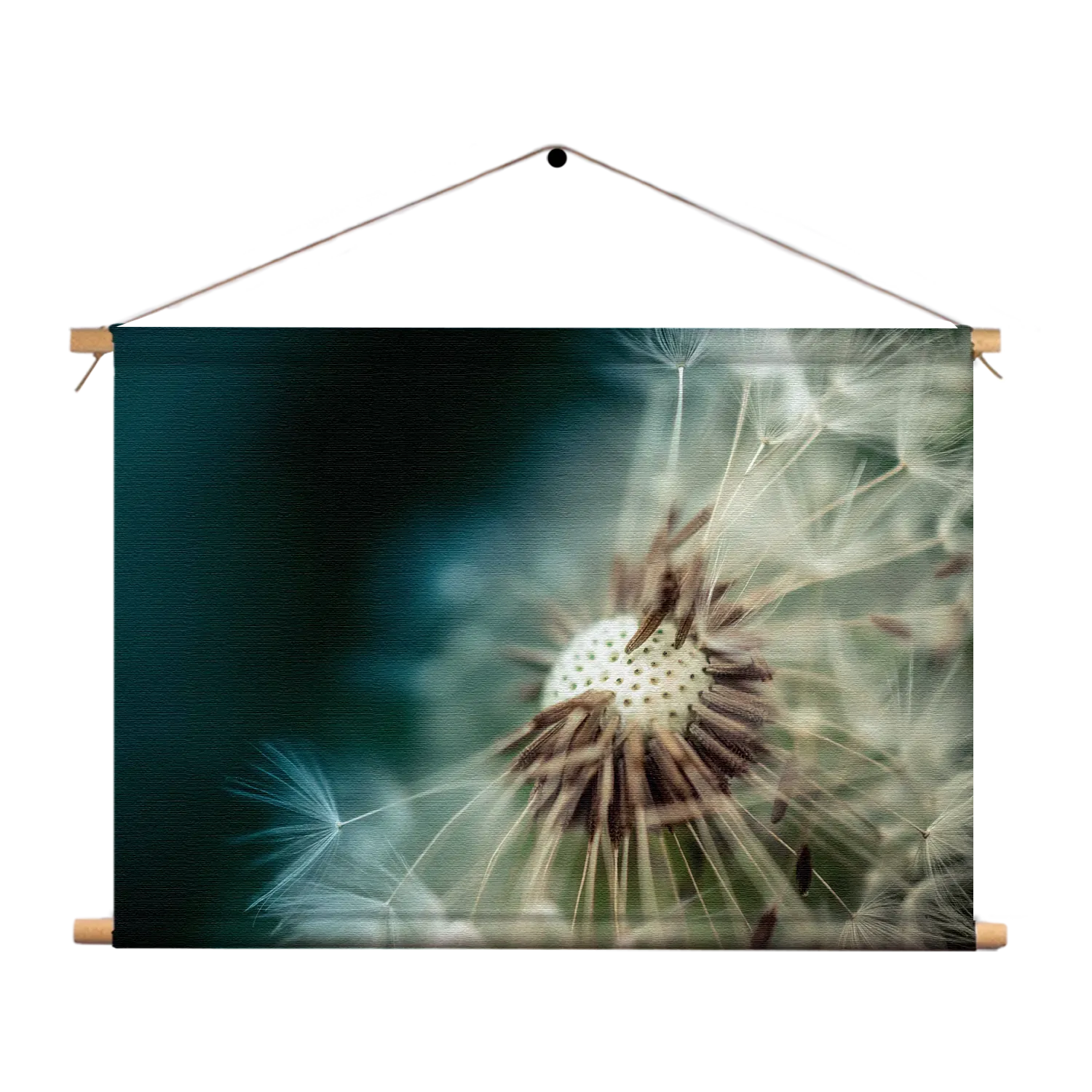 Textielposter Paardenbloem pluis 2 Rechthoek Horizontaal Template TP 50 70 Horizontaal Natuur 26 1