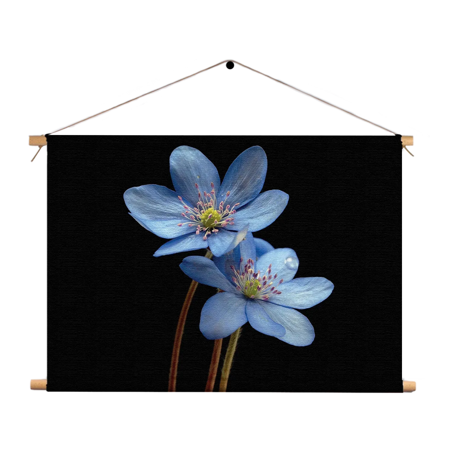 Textielposter Maagdenpalm Rechthoek Horizontaal Template TP 50 70 Horizontaal Natuur 36 1