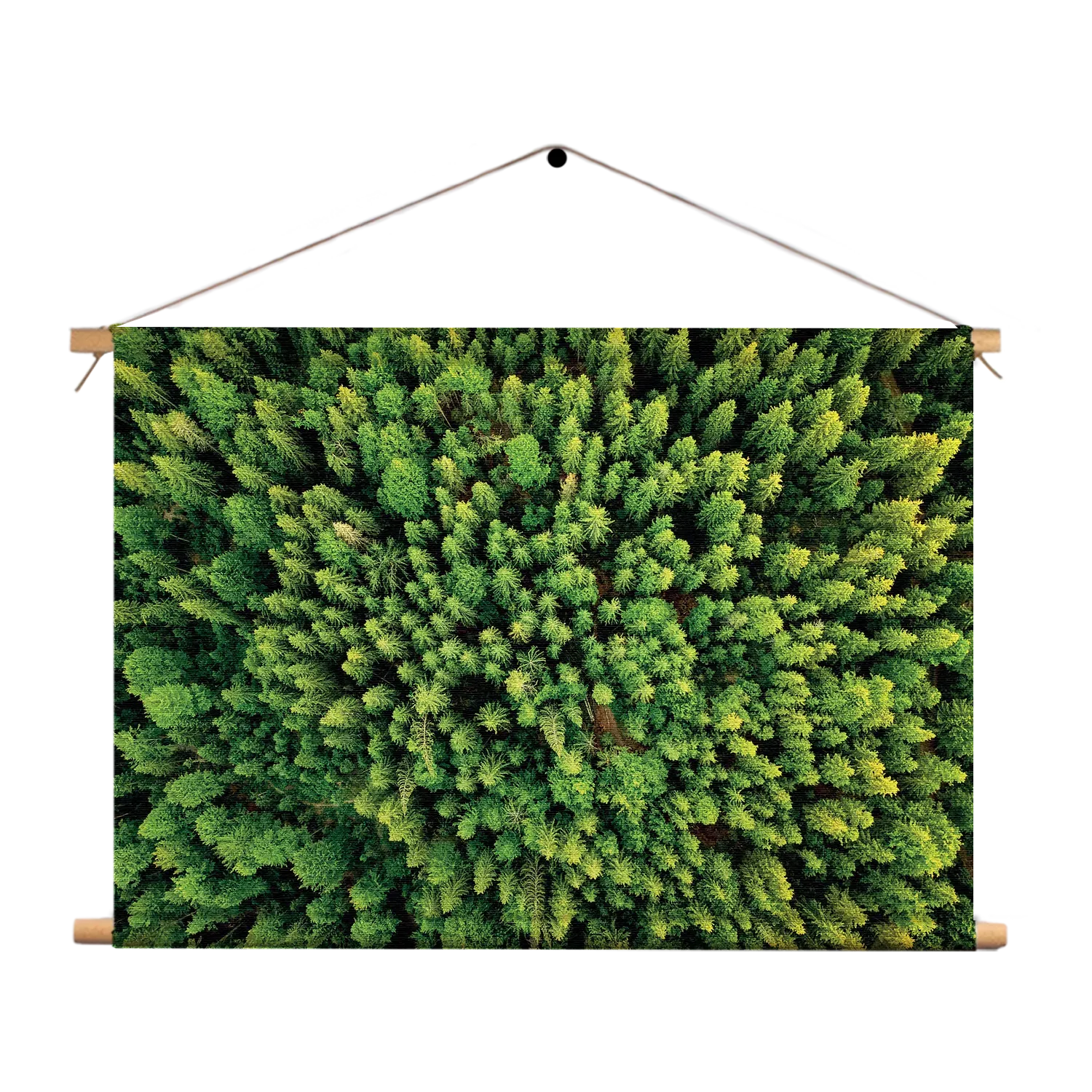 Textielposter Het groene bos Rechthoek Horizontaal Template TP 50 70 Horizontaal Natuur 64 1