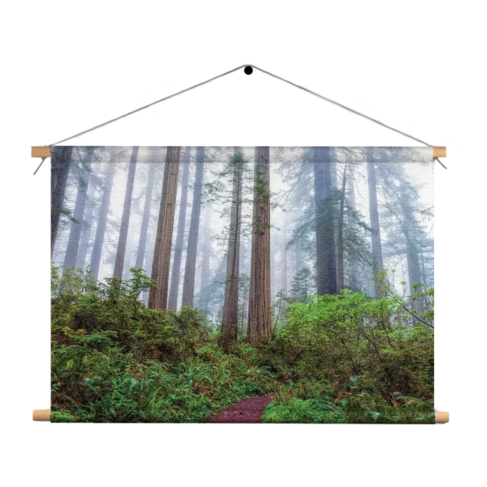 Textielposter Sequoia bos Rechthoek Horizontaal Template TP 50 70 Horizontaal Natuur 88 1