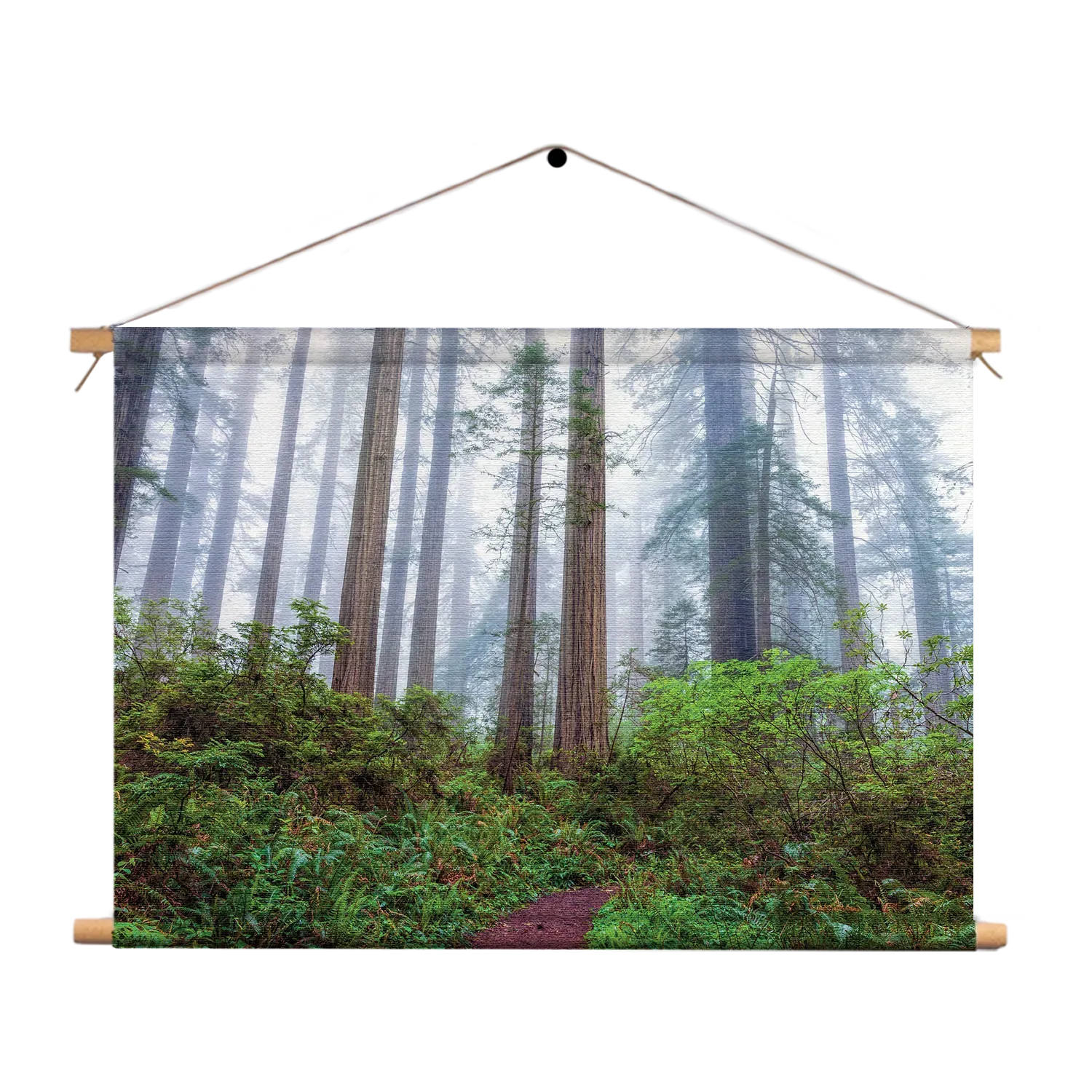 Textielposter Sequoia bos Rechthoek Horizontaal Template TP 50 70 Horizontaal Natuur 88 1