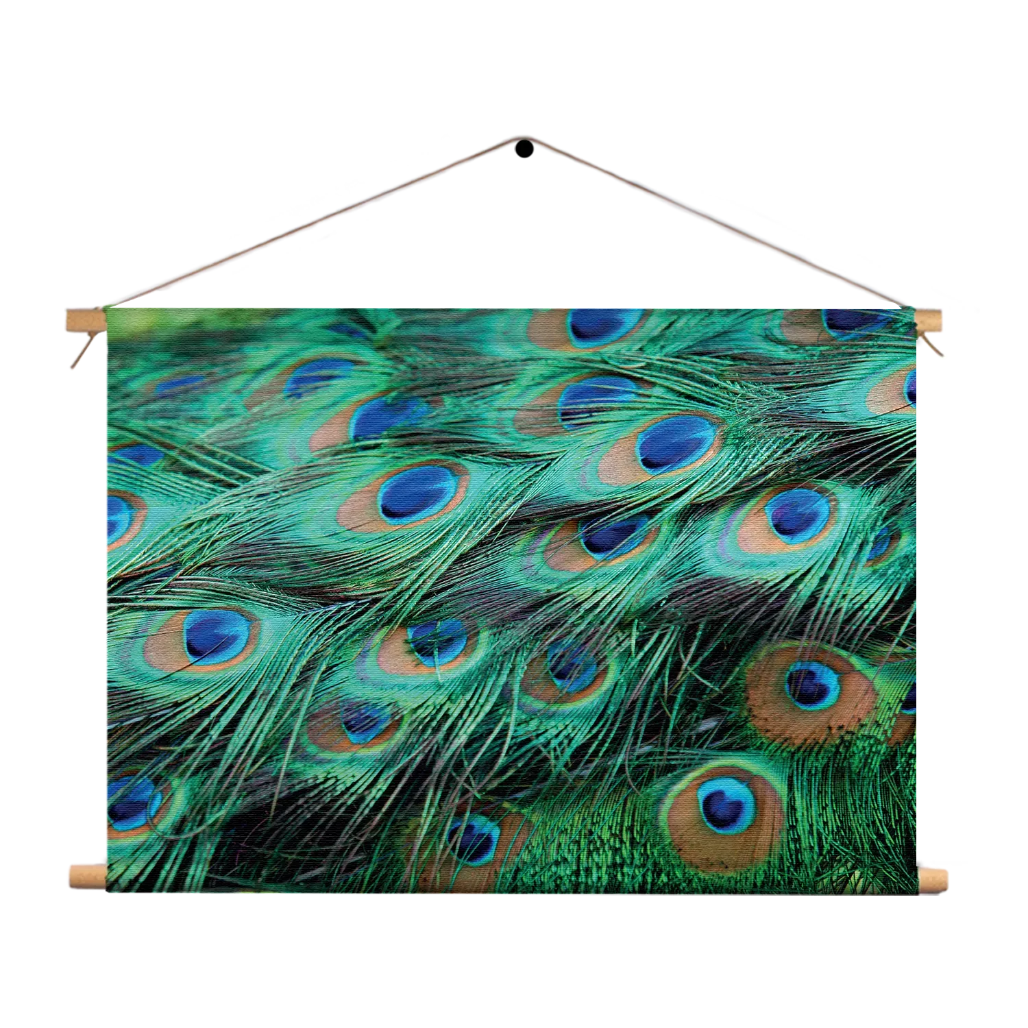 Textielposter Veren van de Pauw Rechthoek Horizontaal Template TP 50 70 Horizontaal Natuur 89 1