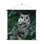 Textielposter Uil Op Tak Vierkant Template TP Vierkant Dieren 12 1