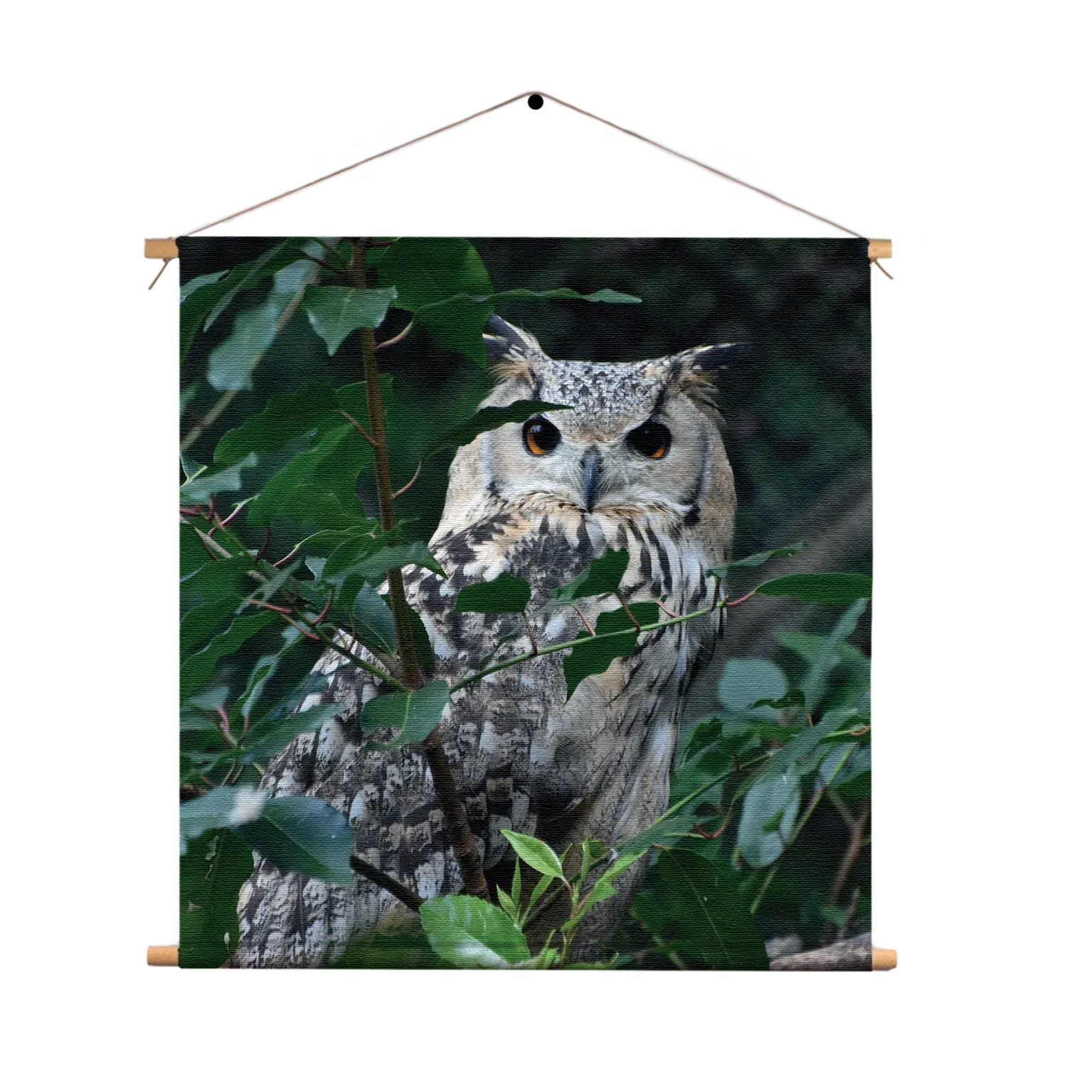 Textielposter Uil Op Tak Vierkant Template TP Vierkant Dieren 12 1