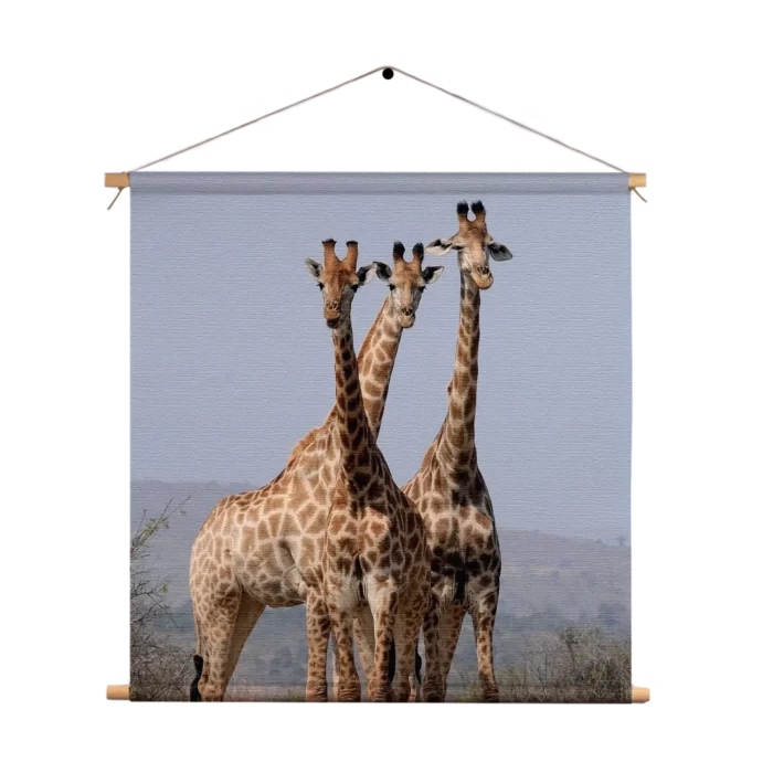 Textielposter Drie Giraffen Vierkant Template TP Vierkant Dieren 14 1