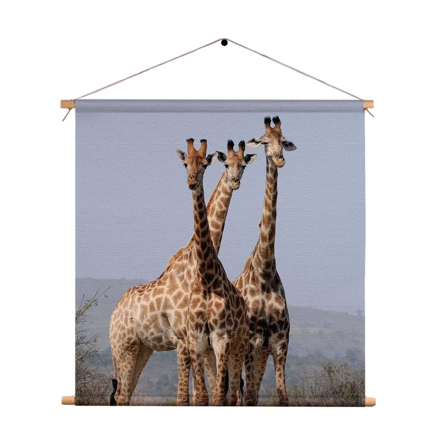 Textielposter Drie Giraffen Vierkant Template TP Vierkant Dieren 14 1