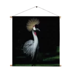 Textielposter De Witte Pauw Vierkant Template TP Vierkant Dieren 15 1