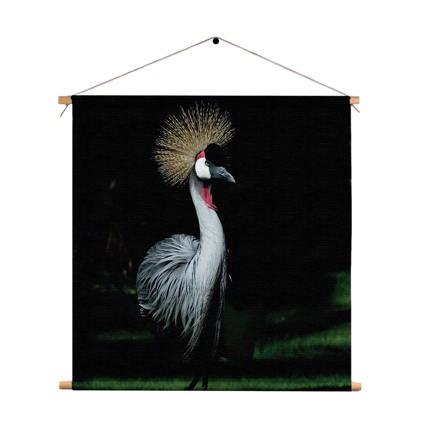 Textielposter De Witte Pauw Vierkant Template TP Vierkant Dieren 15 1