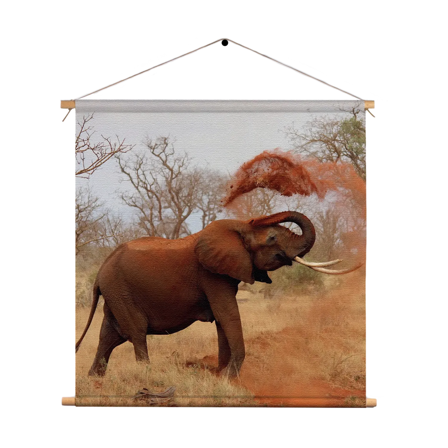 Textielposter Wilde Olifant Vierkant Template TP Vierkant Dieren 17 1