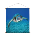Textielposter Zeeschildpad In Helderblauw Water 01 Vierkant Template TP Vierkant Dieren 21 1